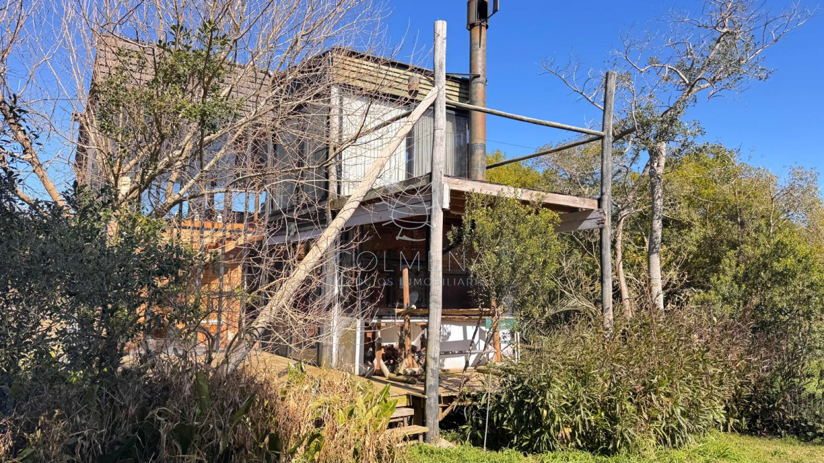 Sauce de Portezuelo - GoPunta - Portal Inmobiliario de Punta del Este - Maldonado