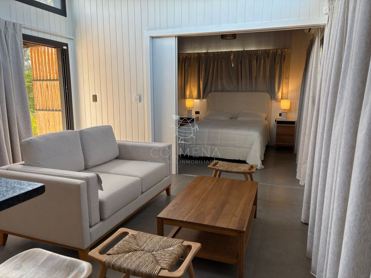 Chihuahua - GoPunta - Portal Inmobiliario de Punta del Este - Maldonado