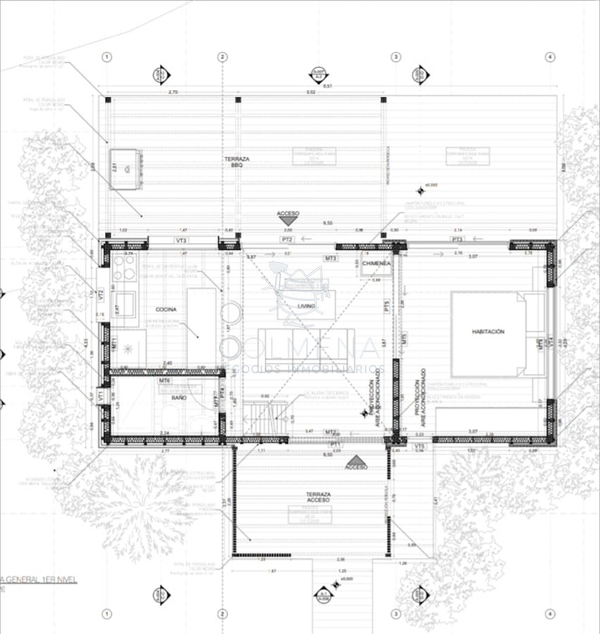 Chihuahua - GoPunta - Portal Inmobiliario de Punta del Este - Maldonado