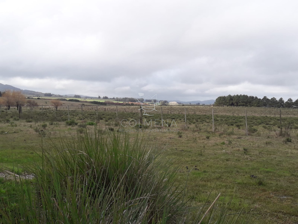 Zona Rural - GoPunta - Portal Inmobiliario de Punta del Este - Maldonado