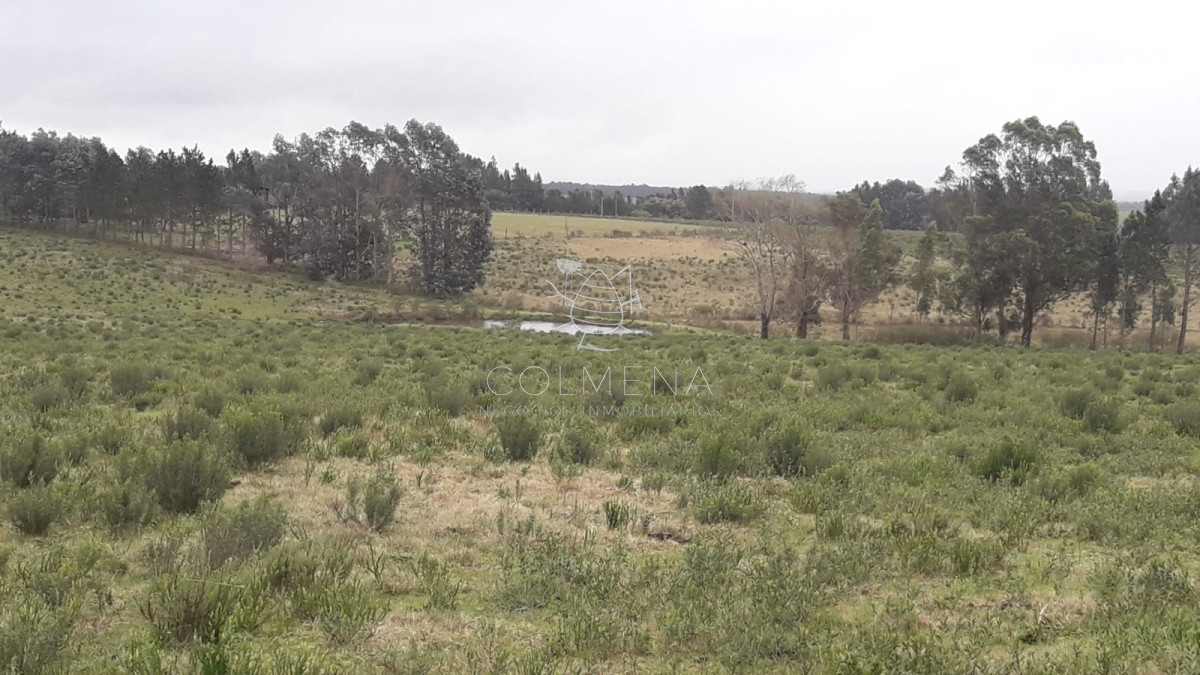 Pueblo Eden - GoPunta - Portal Inmobiliario de Punta del Este - Maldonado