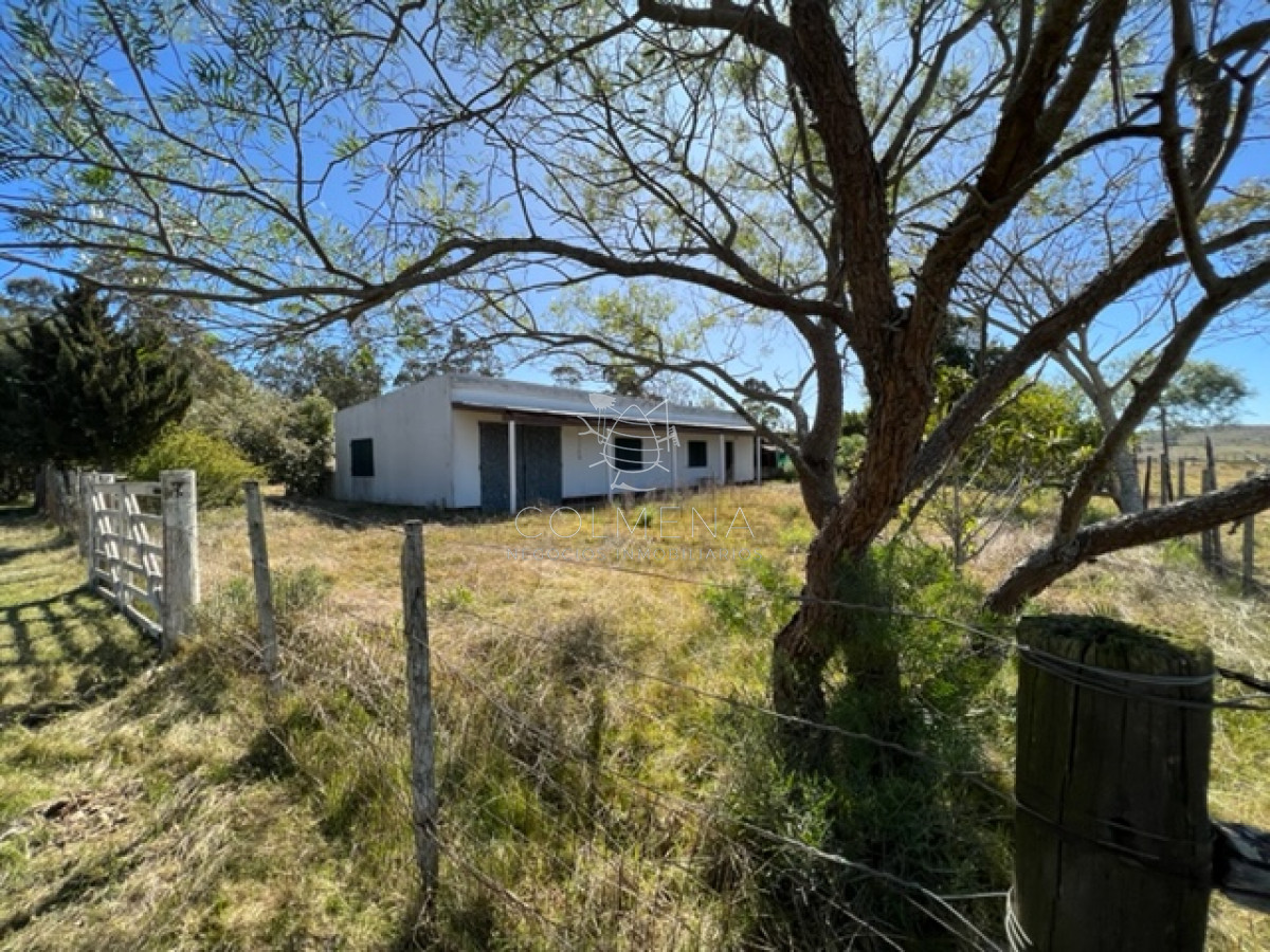 Zona Rural - GoPunta - Portal Inmobiliario de Punta del Este - Maldonado
