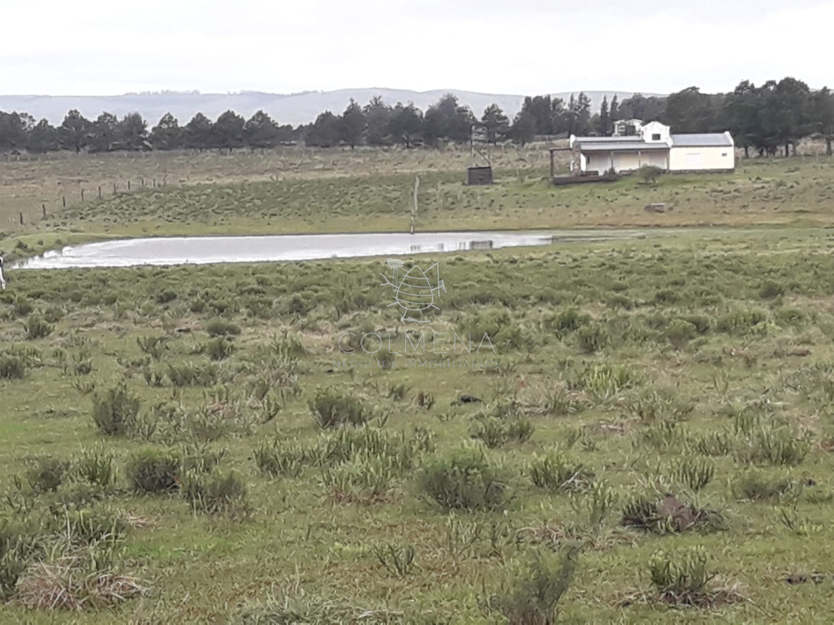 Zona Rural - GoPunta - Portal Inmobiliario de Punta del Este - Maldonado