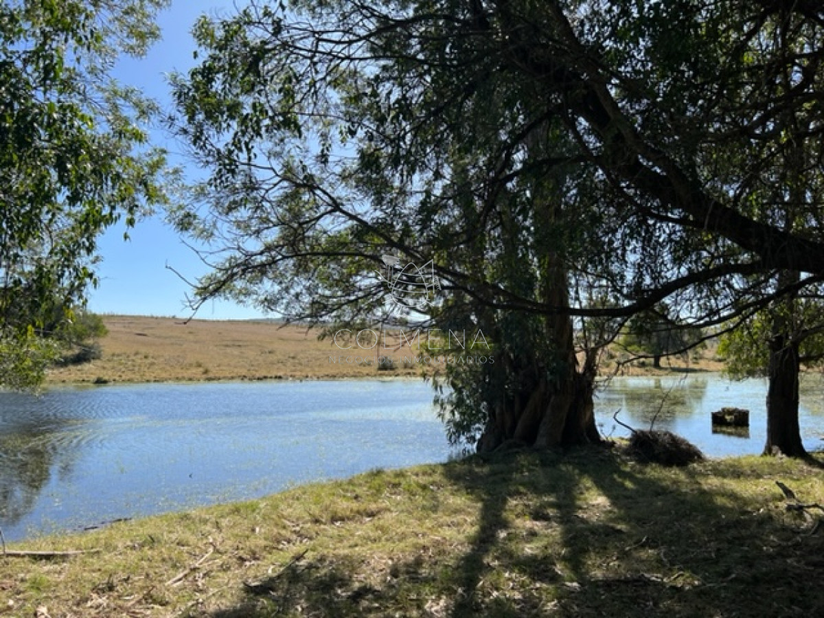 Zona Rural - GoPunta - Portal Inmobiliario de Punta del Este - Maldonado