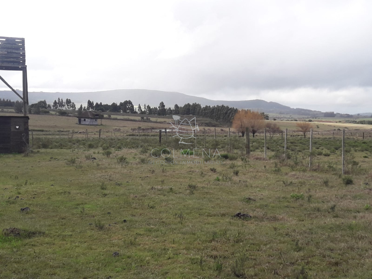 Zona Rural - GoPunta - Portal Inmobiliario de Punta del Este - Maldonado