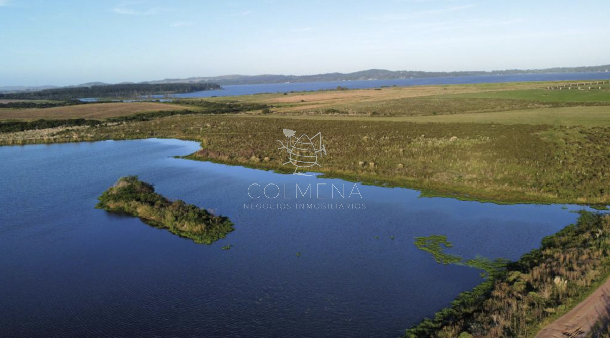 Chacra 6 has con 8793 m2 en Laguna del sauce  - COL11097H