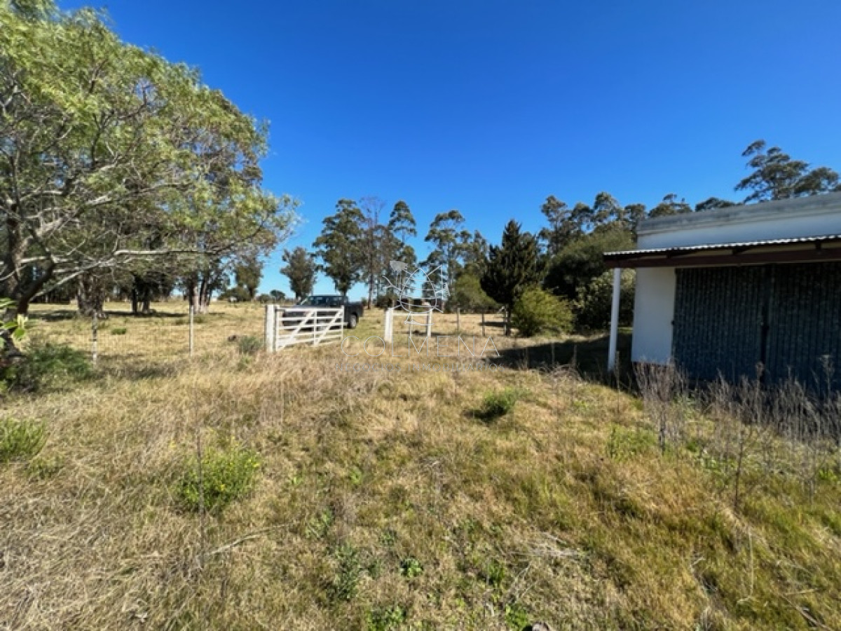 Zona Rural - GoPunta - Portal Inmobiliario de Punta del Este - Maldonado