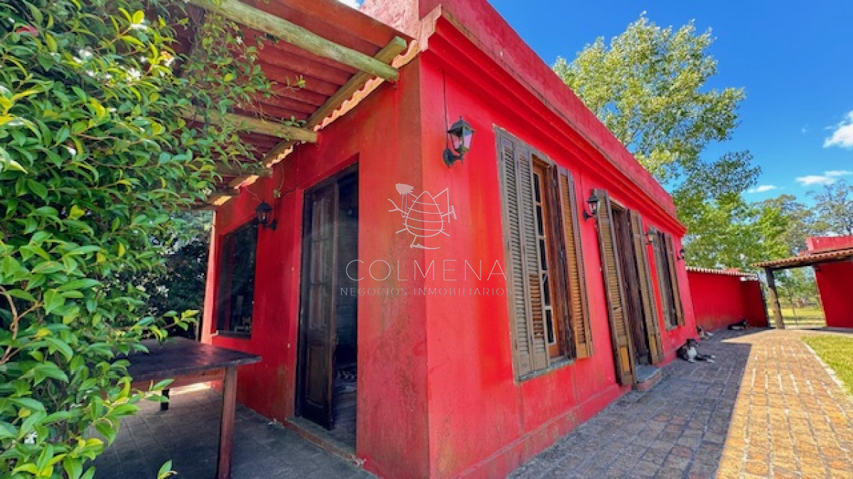 Camino de los Ceibos - GoPunta - Portal Inmobiliario de Punta del Este - Maldonado