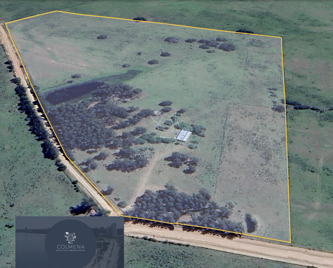 Campo 10 has y media con casa y manantial con agua permante. Consulte!!!!!!!!! - GoPunta - Portal Inmobiliario de Punta del Este - Maldonado