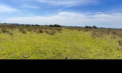 10 Chacras bien ubicadas cerca de ruta 9 y camino Sainz Martinez