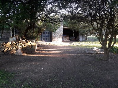 campo 57 has con casco antiguo - col4851p