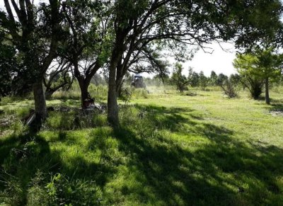 excelente oportunidad de inversión campo 6,7has con cultivo de cañamo cannabis  - col6191p