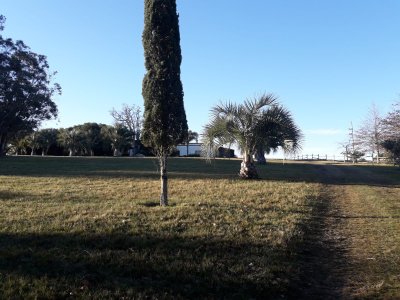 campo 57 has con casco antiguo - col4851p