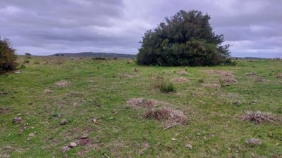 campo 111 has campo de sierra en lavalleja - col 7120 - col7120p