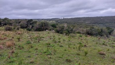 campo 111 has campo de sierra en lavalleja - col 7120 - col7120p