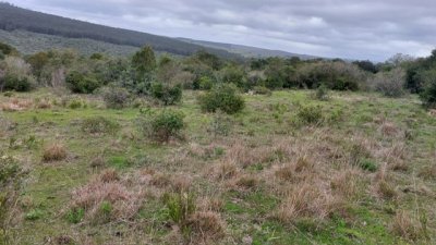 campo 111 has campo de sierra en lavalleja - col 7120 - col7120p