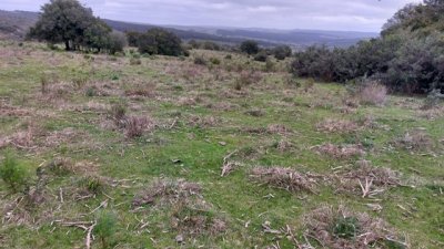 campo 111 has campo de sierra en lavalleja - col 7120 - col7120p