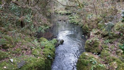 campo 111 has campo de sierra en lavalleja - col 7120 - col7120p