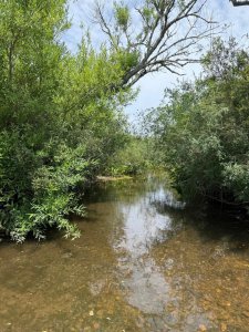 campo con costa de arroyo. - col10360p