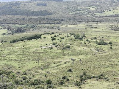 campo de 200 hás en el departamento de maldonado - col10255p