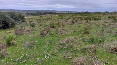 campo 111 has campo de sierra en lavalleja - col 7120 - col7120p