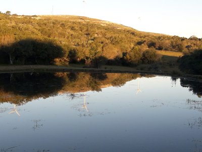 campo 57 has con casco antiguo - col4851p