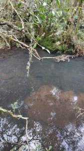 campo 111 has campo de sierra en lavalleja - col 7120 - col7120p