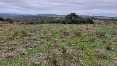 campo 111 has campo de sierra en lavalleja - col 7120 - col7120p