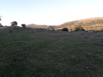 campo 57 has con casco antiguo - col4851p