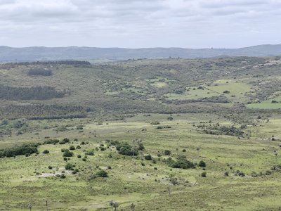 campo de 200 hás en el departamento de maldonado - col10255p