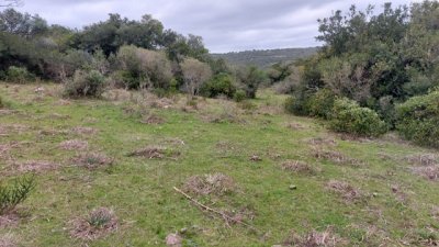 campo 111 has campo de sierra en lavalleja - col 7120 - col7120p