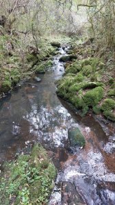 campo 111 has campo de sierra en lavalleja - col 7120 - col7120p