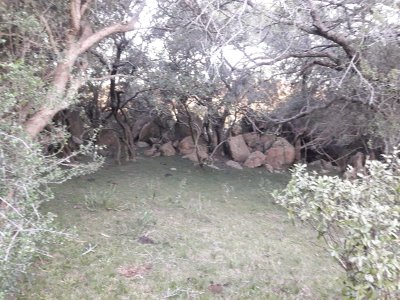 campo 57 has con casco antiguo - col4851p