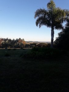 campo 57 has con casco antiguo - col4851p