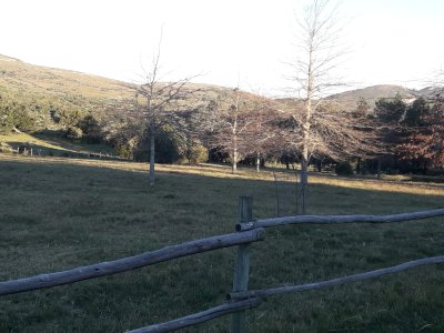 campo 57 has con casco antiguo - col4851p