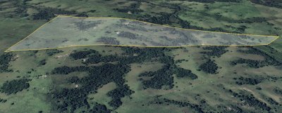 campo cerca de los viñedos, bodegas y pueblo garzon. - col9229p