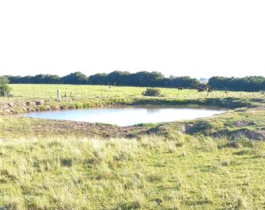 campo 10 has 4336 m2 en corte la leña - col9256p