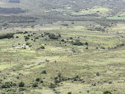 campo de 200 hás en el departamento de maldonado - col10255p