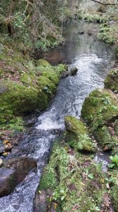 campo 111 has campo de sierra en lavalleja - col 7120 - col7120p