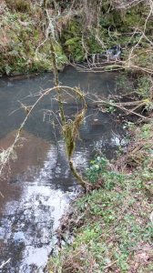 campo 111 has campo de sierra en lavalleja - col 7120 - col7120p