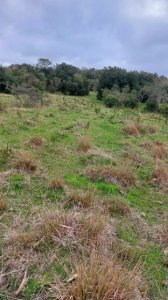 campo 111 has campo de sierra en lavalleja - col 7120 - col7120p