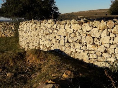 campo 57 has con casco antiguo - col4851p