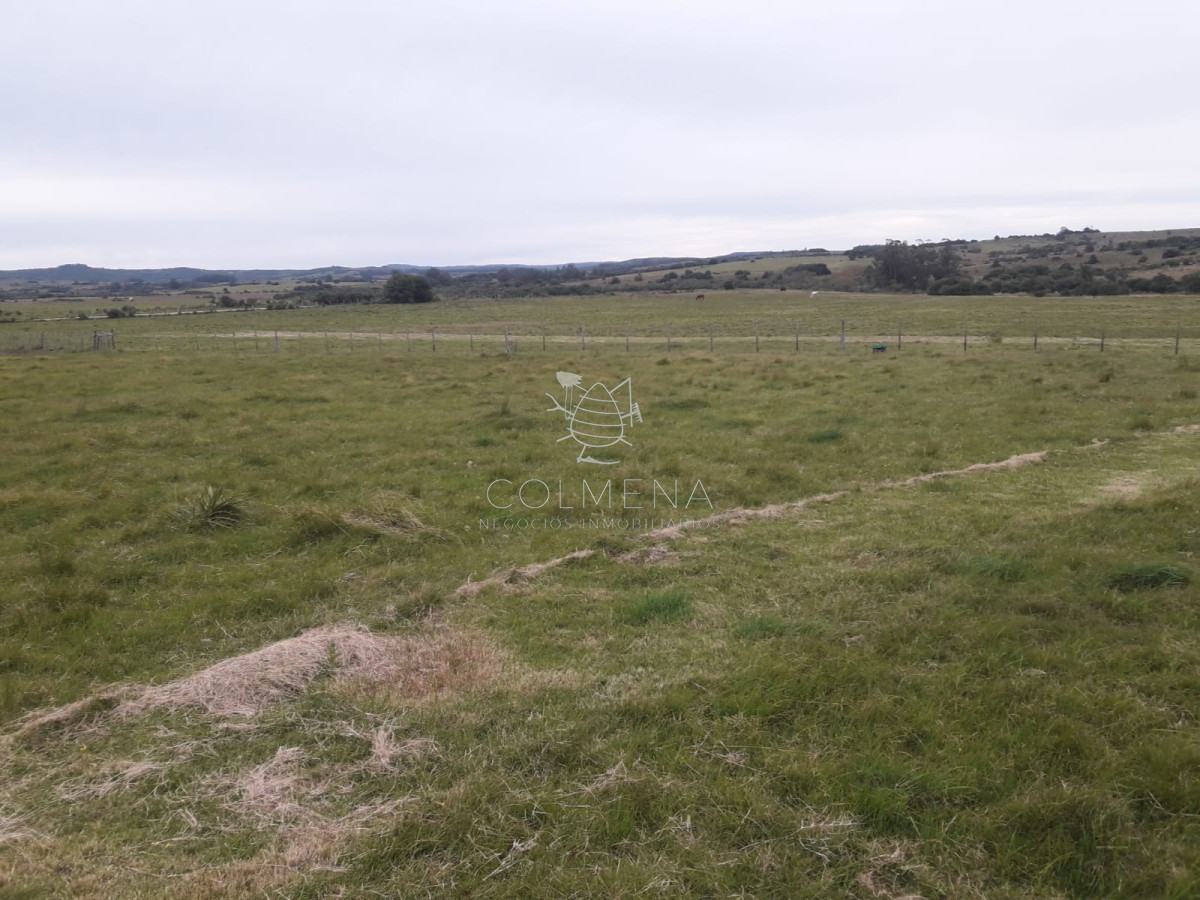 Campo a 5 km de pueblo Garzon - Coneat 106