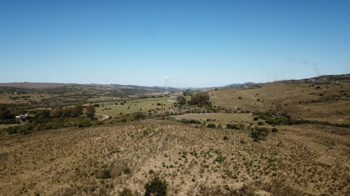 Campo 86 has 6937 m2 en la Cañas - GoPunta - Portal Inmobiliario de Punta del Este - Maldonado