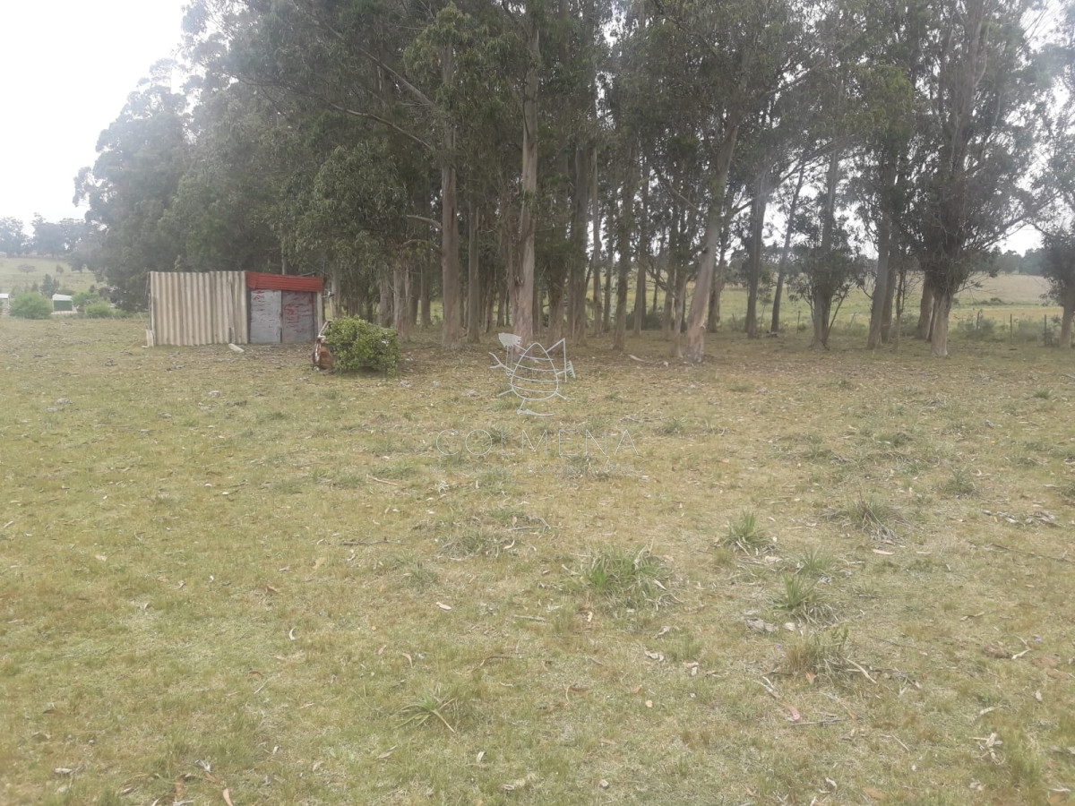 Campo de 12 has en Paraje José Ignacio. Consulte !!!!! - GoPunta - Portal Inmobiliario de Punta del Este - Maldonado
