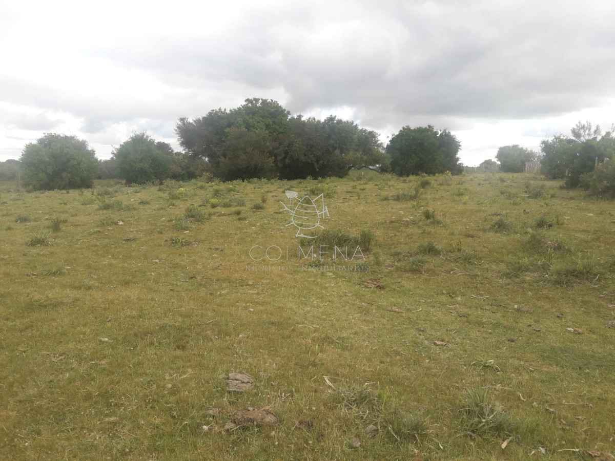 Campo en , 