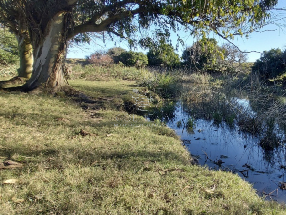 Campo en Las Garzas frente ruta y cerca del mar. - COL11406P