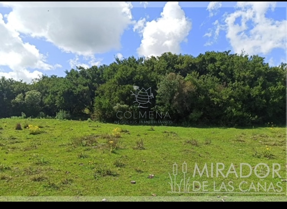 Chacras se financia 50    Mirador de las cañas   Consulte !!!!! - GoPunta - Portal Inmobiliario de Punta del Este - Maldonado