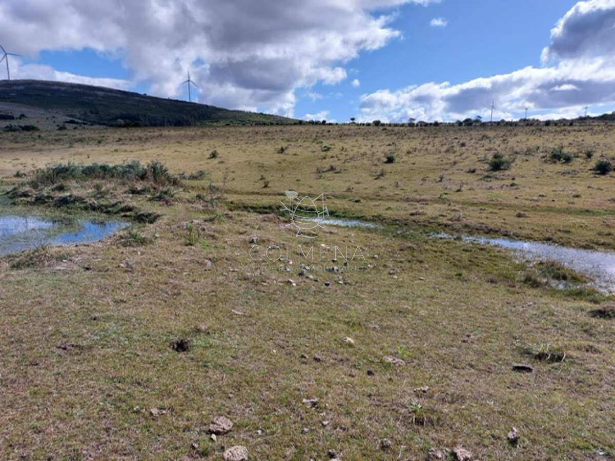 Campo 80 has a 35 km de Punta del Este