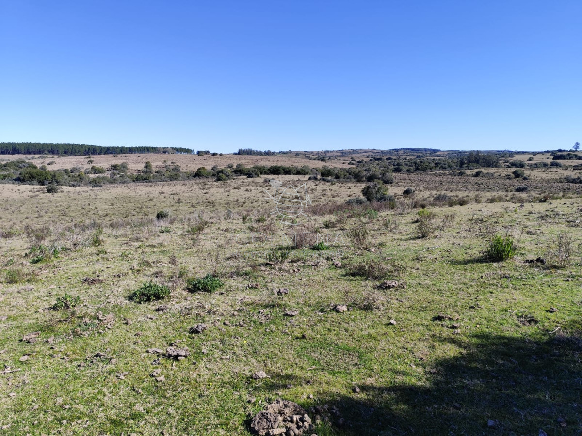 Campo en Garzon cerca de las Bodegas - COL9976P